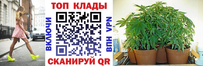 Все наркотики Светлогорск A-PVP Меф мяу мяу Гашиш Бошки Шишки КОКАИН