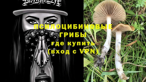 а пвп мука Богданович