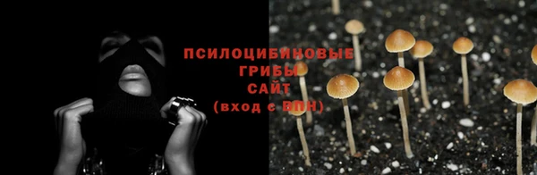 прущие крисы Богородск