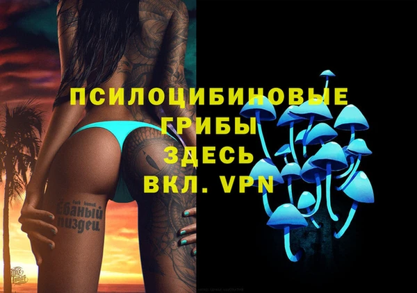 MDMA Богородицк